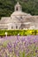 Abbaye de Senanque with lavender field, Provenc