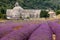 Abbaye de Senanque in Provence, France