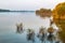 Abberton Resevoir during Golden Hour