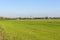 Abbey bell tower looms out of flat country , Pomposa, Italy