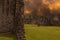 Abbey ruins with storm clouds building at sunset in the background. Religious history concept