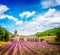 Abbey Senanque and Lavender field, France