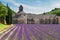 Abbey Senanque and Lavender field, France