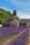 Abbey Senanque and Lavender field, France