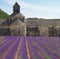 Abbey Senanque and Lavender field, France