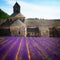 Abbey Senanque and Lavender field, France