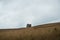 Abbotsbury, Dorset, UK july 27, 2018 view of St Catherine`s chapel and surrounding meadow in the Jurassic coastal belt