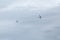 ABBOTSFORD, BC, CANADA - AUG 11, 2019: The RCAF Snowbirds performing aerobatic maneuvers at the Abbotsford International