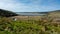 Abbotts Lagoon from Estero Trail in Point Reyes