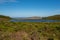 Abbotts Lagoon viewed from a distance on a clear sky day