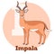 ABC Cartoon Impala