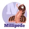 ABC Cartoon Millipede