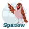 ABC Cartoon Sparrow