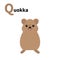 ABC english alphabet. Letter Q. Qokka. Cute cartoon kawaii funny character. Education card for kids. Smiling laughing animal of