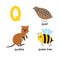 ABC letter Q funny kid icons set: quokka, quail, queen bee