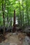 Abenaki first nation totem in Parc Omega