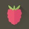 With the ability to change the line thickness. Silhouette icon raspberries