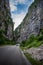 Abkhazia road Ritza lake travel mountains rest