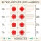 ABO and RhD blood groups systems infographic