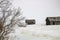 Abondoned farm buildings on a frosty morning. Alberta,Canada