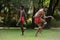 Aboriginal Australians men dancing traditional dance during Australia Day celebrations