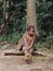 Aboriginal boy in a jungle