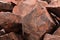 Aboriginal Petroglyphs of a Monitor lizard on rock in Burrup Peninsula near Dampier Western Australia