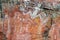 Aboriginal rock art