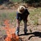 Aboriginal setting a fire