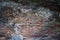 Aborigines rock painting art Kakadu Australia