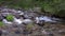 Abounding mountain creek from a Pyrenees mountain in Spain, slow motion footage