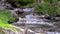 Abounding mountain creek from a Pyrenees mountain in Spain, slow motion footage