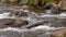 Abounding river detail with close up of rock, in Spanish Pyrenees mountains