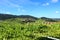 Above the Albarino Grapevines in MeaÃ±o Spain