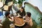 Above angle of three young intercultural friends having chat in cafe