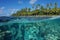 Above and below water surface French Polynesia