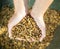 From above of female hands stable worker carrying diet muesli with herbs and grains for horse feeding indoors