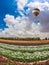 Above the flowers flying balloon