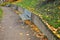 Above the ornamental pond in the park are several gray metal transparent benches on the park gravel sidewalk. autumn leaves lying