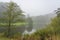 Above this pond surrounded by trees it is starting to get a little lighter now that the fog is slowly lifting in the Westerpark in