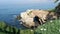 From above sea cave in La Jolla Cove. Lush foliage and sandstone grotto. Rock in pacific ocean lagoon, waves near steep cliff.