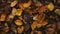 From above shot of dry autumn leaves. Generative AI