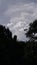 Above is the skies and leaves of the tree is waiting the rain to pour.