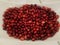 Above view of fresh cranberries in white bowl, get your antioxidants