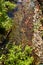 Above view of river water with rocks, fall leaves, and berry bushes