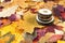 above view of sawed woods on autumn leaves