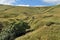 Above Whitemoor Clough in Edale valley