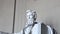 Abraham Lincoln Memorial Statue