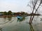 Abrasion submerged Morosari beach in Bedono Village, Sayung District, Demak Regency, Central Java Province.