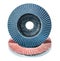 Abrasive tools two flap sanding disks isolated